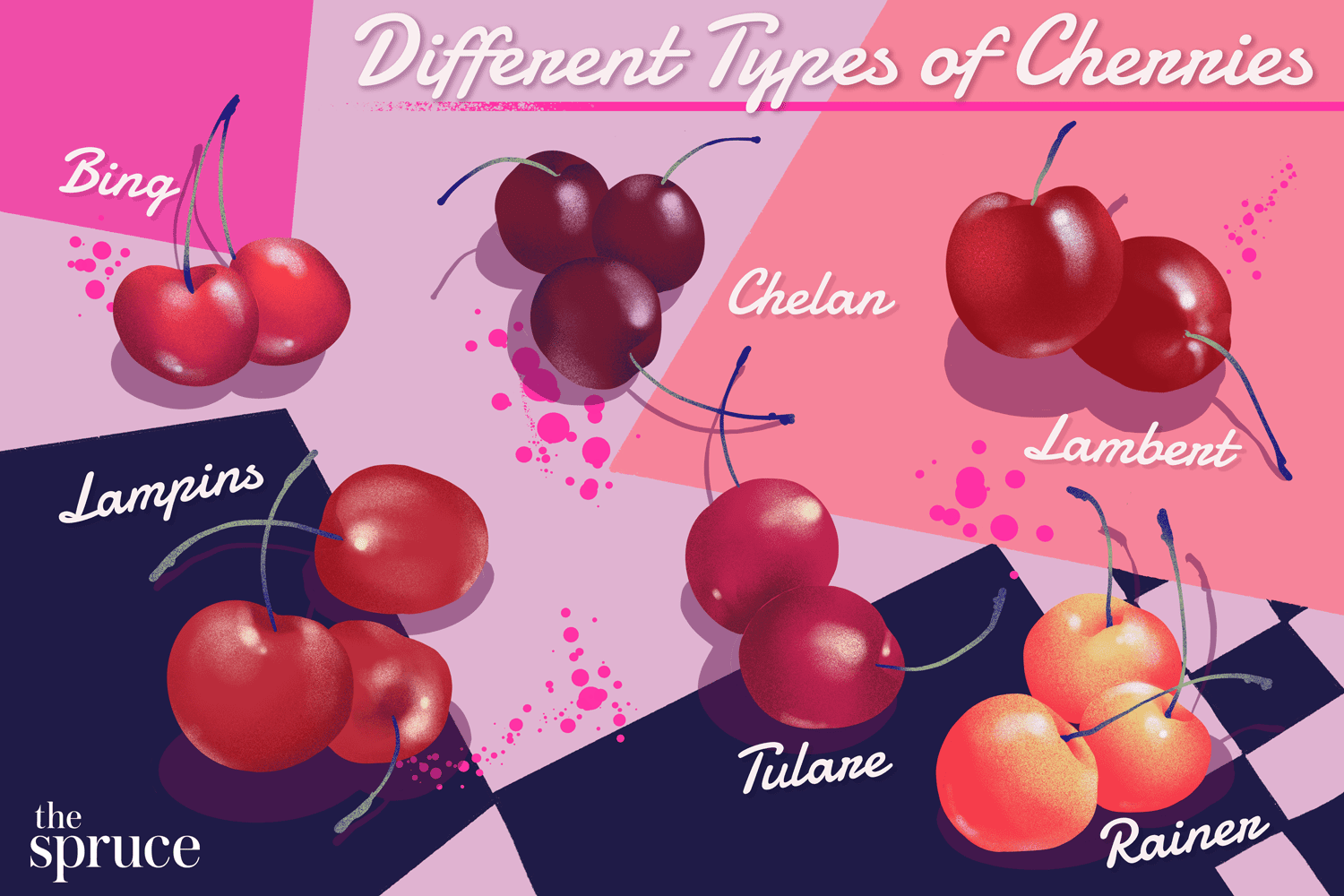 8 Types of Cherries